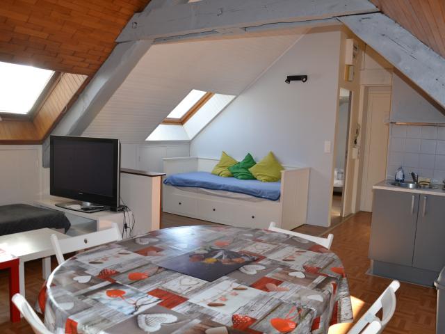 Spacieux T2 de 45 m2 30 m2 Carrez avec belles vues et très bien situé en centre ville