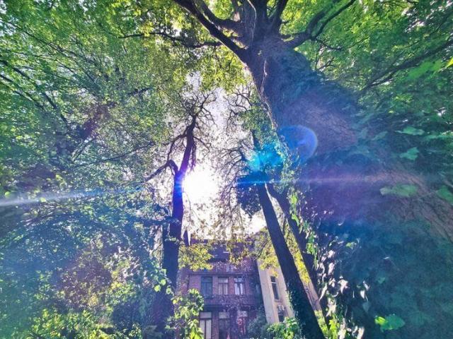 Spacieux appartement avec grand jardin