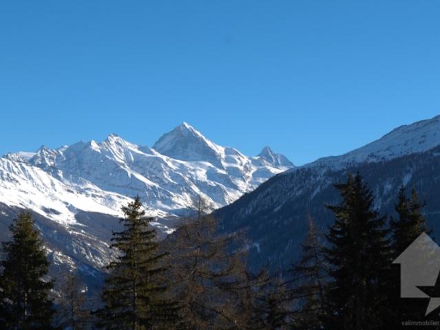 Spacieux appartement de 5,5 pièces au pied des pistes des 4 Vallées
