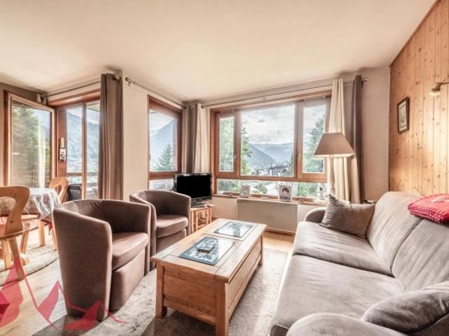 Spacieux appartement d'une chambre à 5 minutes à pied du centre de Morzine