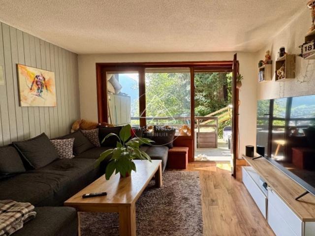 Spacieux appartement d'une chambre à quelques minutes à pieds du centre de Morzine