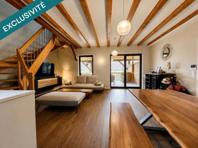 Spacieux et chaleureux duplex, terrasse immense