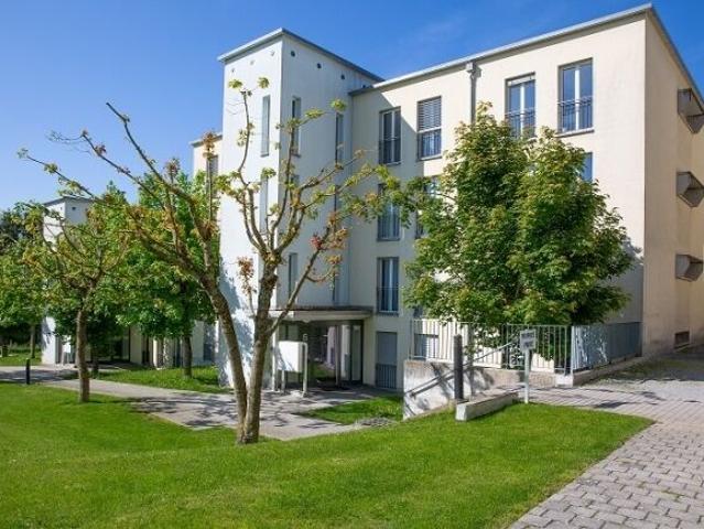 Spacieux et lumineux appartement situé dans un quartier calme et verdoyant
