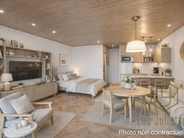 SPACIEUX STUDIO CENTRE VILLAGE LE BIOT