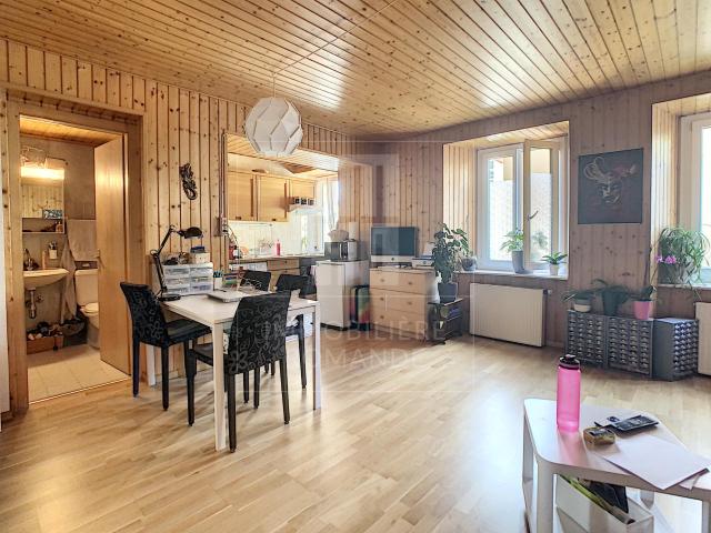 Spacieux studio dans un style chalet d'alpage