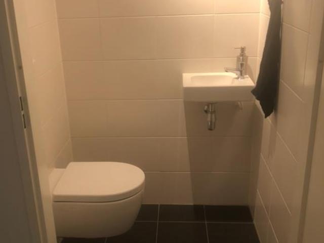 Spadinalaan, Amsterdam Amsterdam Apartments for Rent
