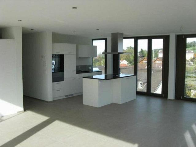 Spezielle 4 1/2 Zimmer Wohnung mit schöner Terrasse