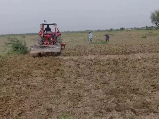 Special Offer 80 Kanal 10 Acer Agreecultur zameen Bhakkar ID 16714