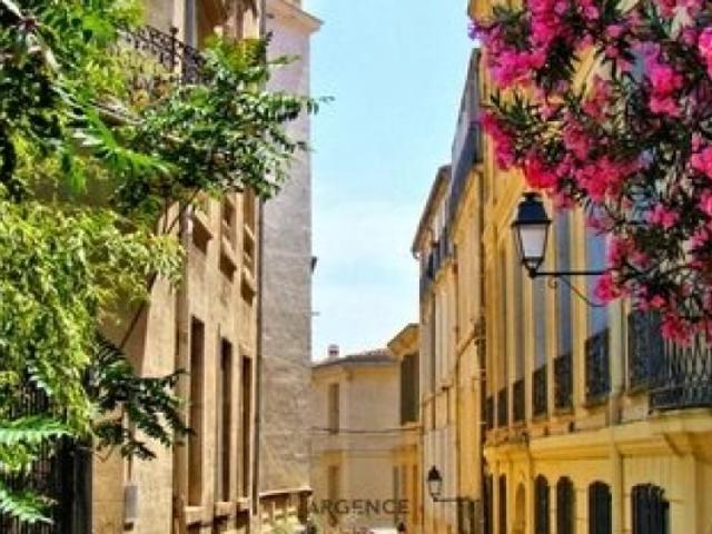 SPECIAL INVESTISSEUR STUIDO IDEALEMENT SITUÉ SUR MONTPELLIER