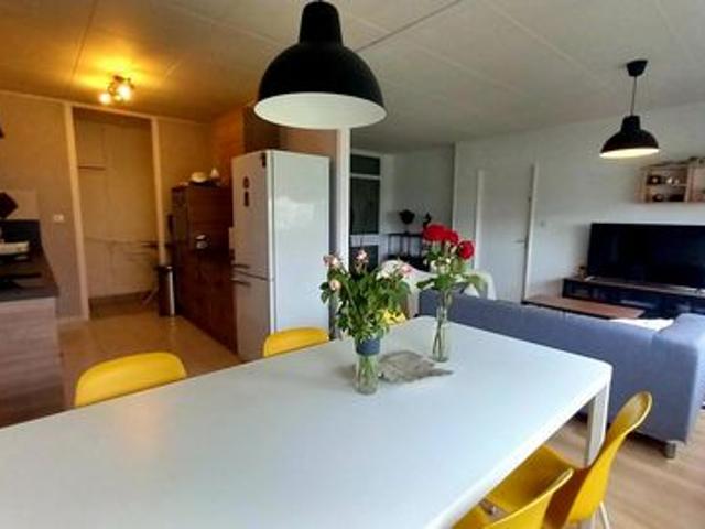 Spécial Investissement Locatif