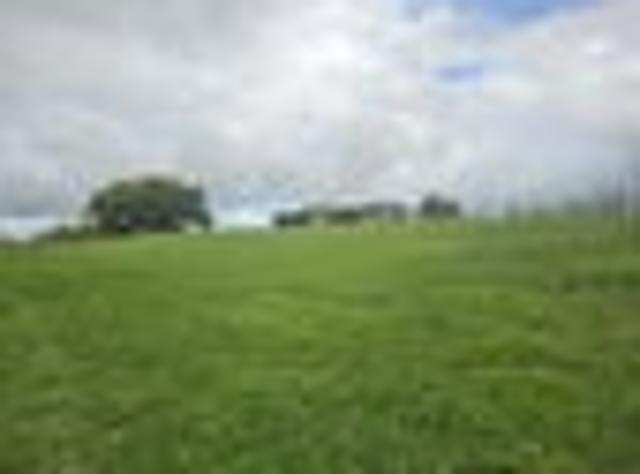 Special Lifestyle or Contractors Dream 1.96ha