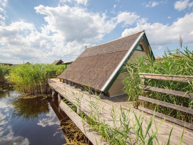 Spitzdachhütte mit Landzugang in Toplage der Romantika II