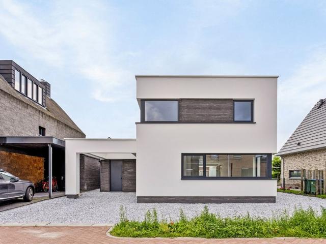 Spieker, 46, 4906MP, Oosterhout, Noord Brabant 4906MP
