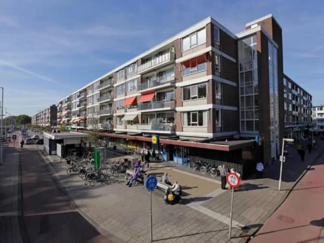 Spinozaweg 303