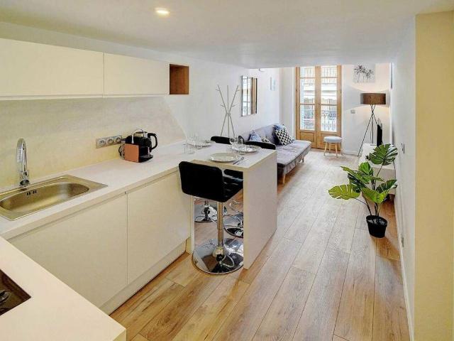 Splendid Duplex in the heart of Cannes Historic Suquet district, Cannes Amsterdam Apartments for Rent