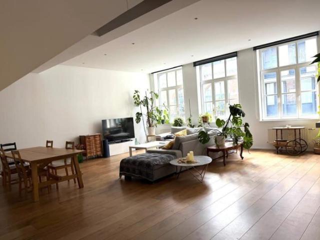 Splendid duplex style loft