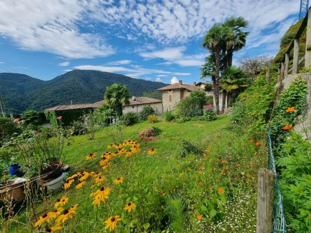 SPLENDIDO TERRENO EDIFICABILE CON PROGETTO A MONTEGGIO