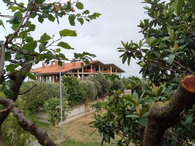 Splendida villa verde circondata 500m² Villalfonsina