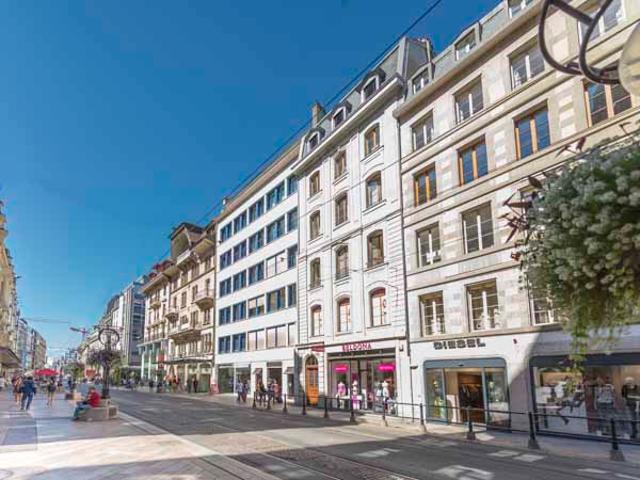 Splendide appartement au coeur de Genève