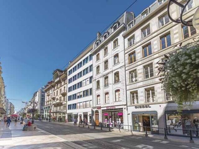 Splendide appartement au coeur de Genève