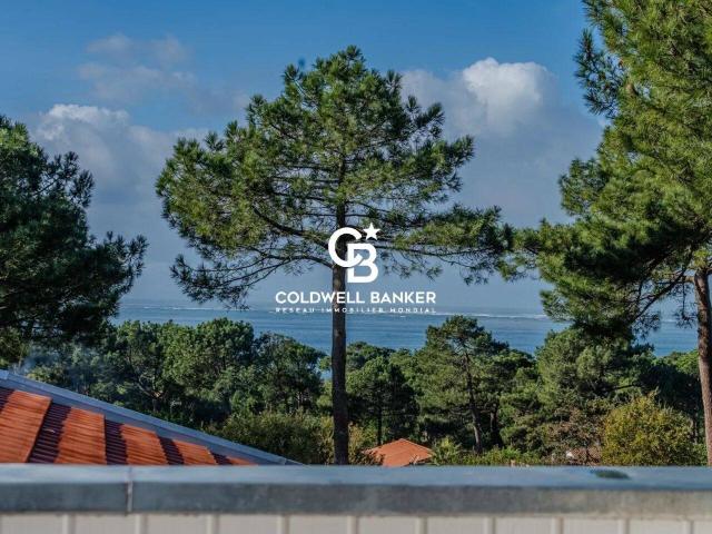 SPLENDIDE VILLA FAMILIALE VUE BASSIN PYLA SUR MER