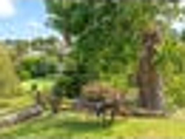 Split Level Family Living with Views and Lifestyle