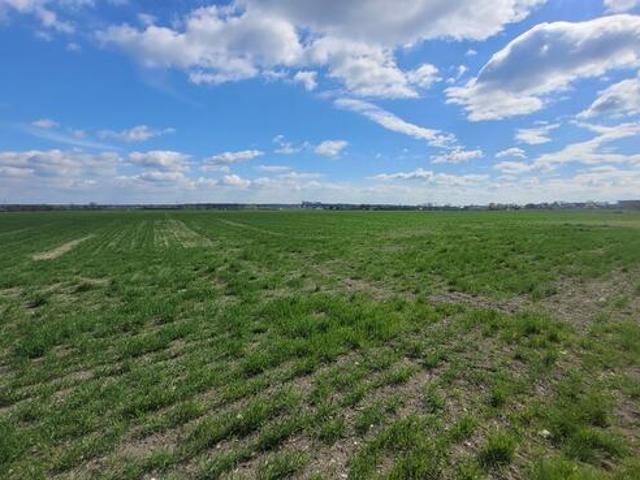 Sprzedaż 1,58 ha budownictwo mieszkaniowe Opole