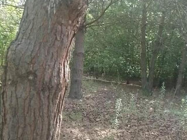 Sprzedam