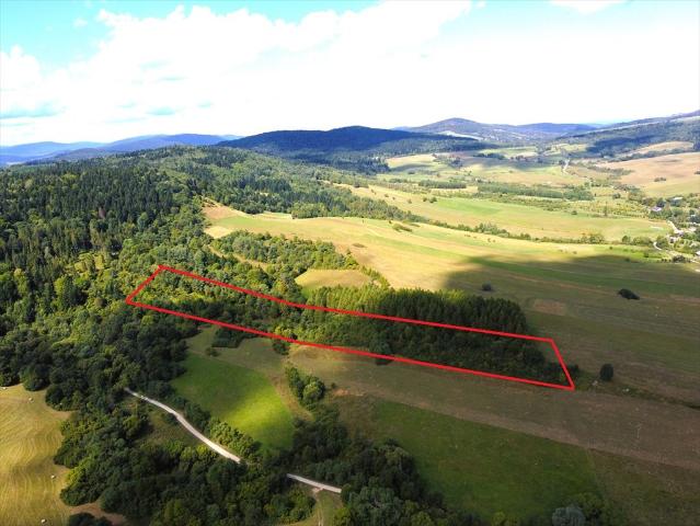 Sprzedam widokową działkę 21 600 m² w Mszanie
