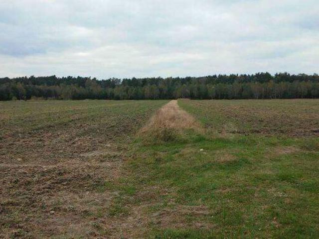 Sprzedam ziemię rolną