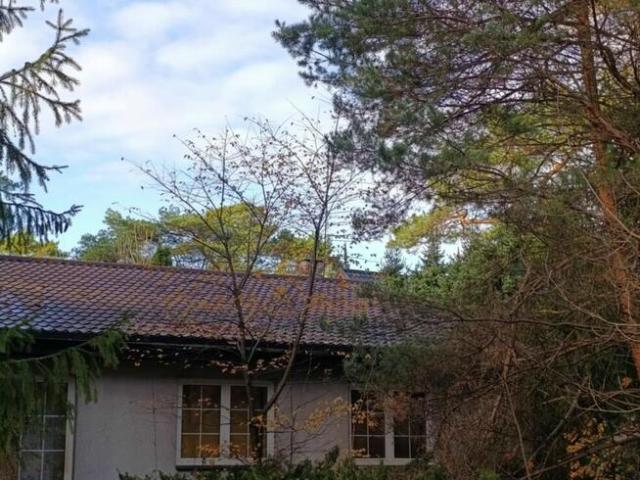 Sprzedam dom 122m2 zielona okolica