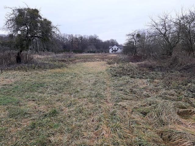 Sprzedam dwie działki 1000 m² w Pawłowicach z dostępem do mediów