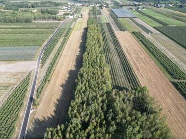 Sprzedam dwie działki w pakiecie, po 3000 m2 każda Piekut