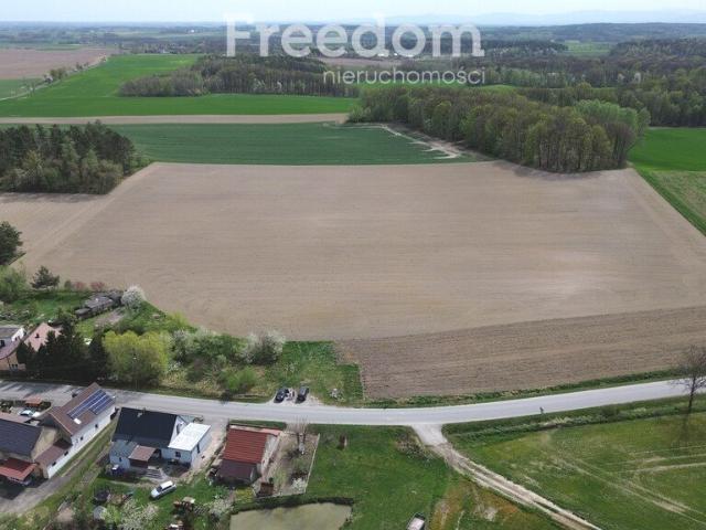 Sprzedam działkę 21 000 m² w Strzegowie z częścią budowlaną