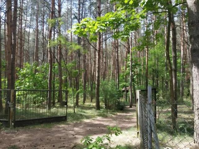 Sprzedam działkę 96 000 m² pod rekreację i dom w Siennicy
