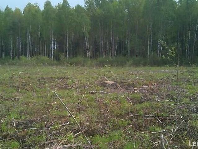 Sprzedam działkę BUDOWLANĄ na terenie ZADRZEWIONYM