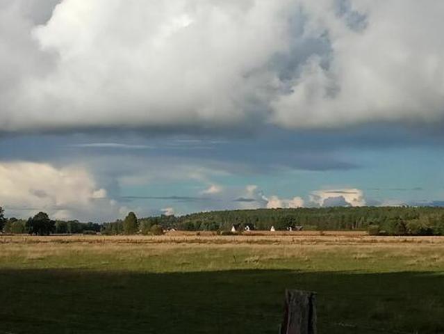 Sprzedam działkę Jesionowiec koło Wielbarka