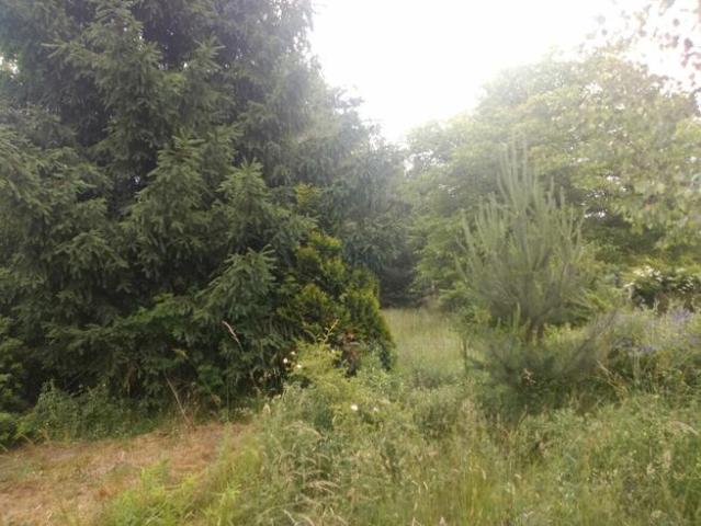 Sprzedam działkę ROD 429 m2 Wrocław