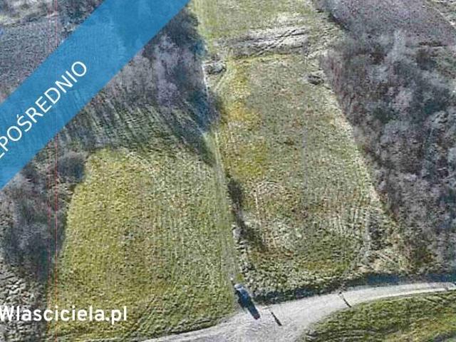 Sprzedam działki w Łękach Dukielskich – 41 359 m2 bez prowizji