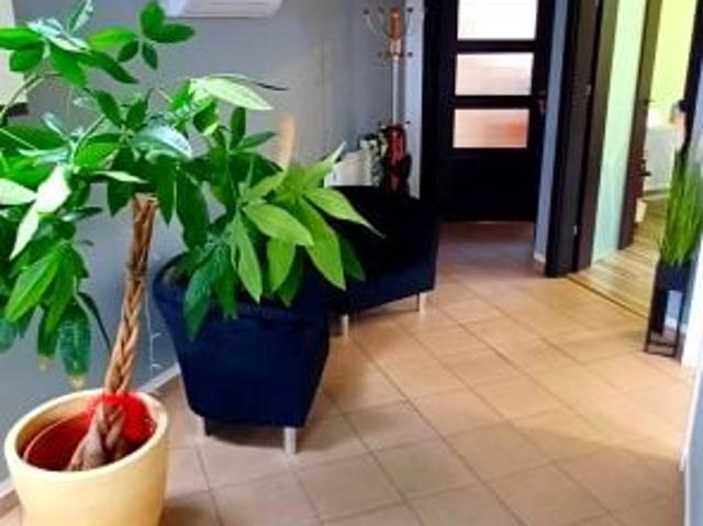 Sprzymierzeńców 14 m², Złotoryja