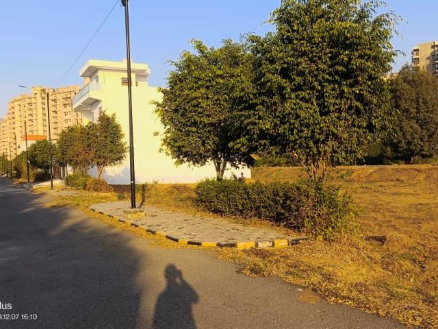 Spring Wood City 119 Sq. Yd. Plot in Sector 22 Dharuhera Listing ID: #10341