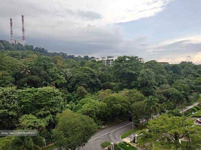 Springdale Condominium D21, Condominium