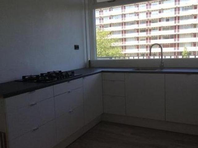 Spuikreek 3079 Rotterdam