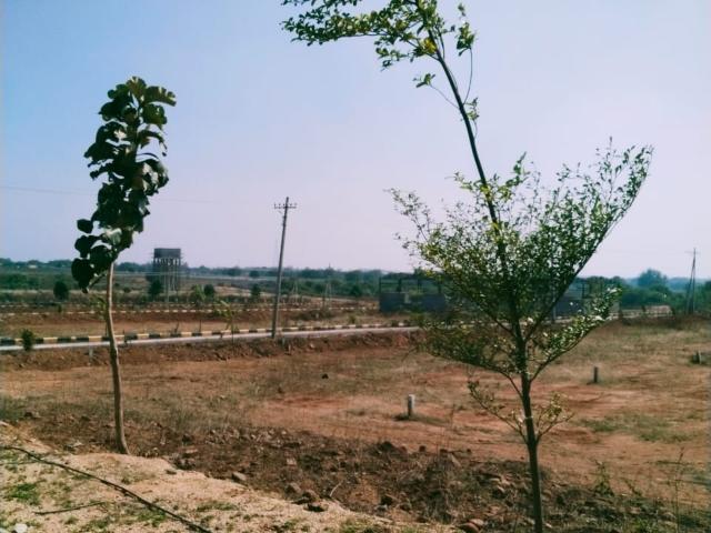 SR Rock Town 150 Sq. Yd. Plot in Mazidpur Hyderabad Listing ID: #9555