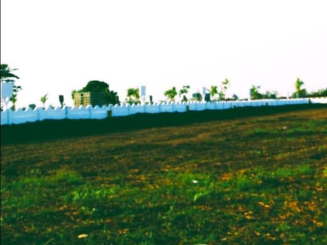 Sri Sai Jy Property Edup 201 Sq. Yd. Plot in Edupugallu Vijayawada Listing ID: #9418