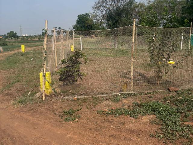 Sri Sai Jy Property Tadep 2400 Sq. Ft. Plot in Tadepalli Vijayawada Listing ID: #9275
