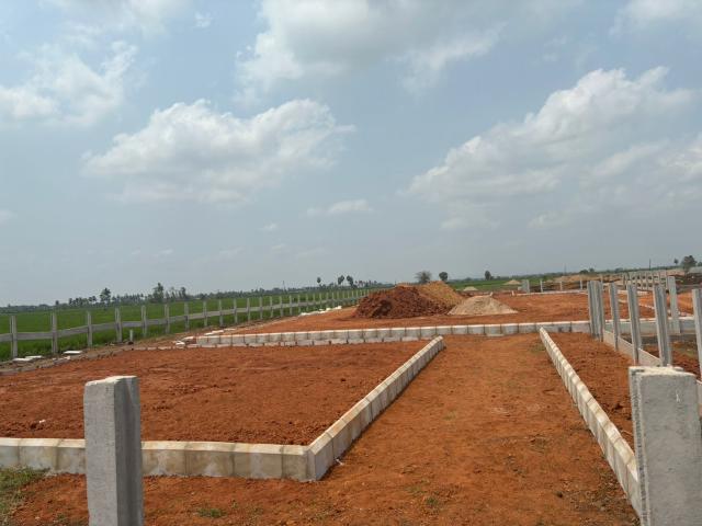 Sri Sai Jy Properties Roy 166 Sq. Yd. Plot in Vijayawada One Town Vijayawada Listing ID: #9059