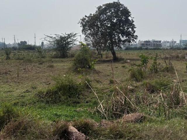 Sri Sai Jy Proprietary 251 Sq. Yd. Plot in Poranki Vijayawada Listing ID: #10051