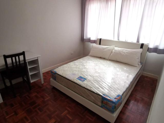 [SS2] Medium room for rent