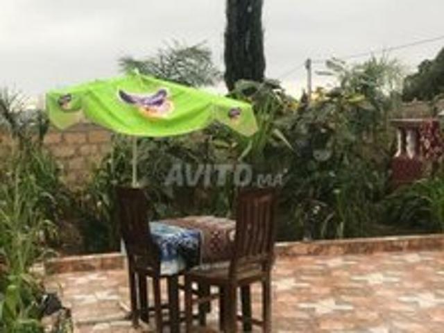سواام اولاد عباس دوا بريشات
